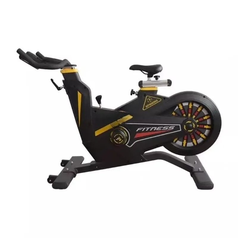 Home Gym Exercise - Bicicleta de Spinning Comercial, Bicicleta de