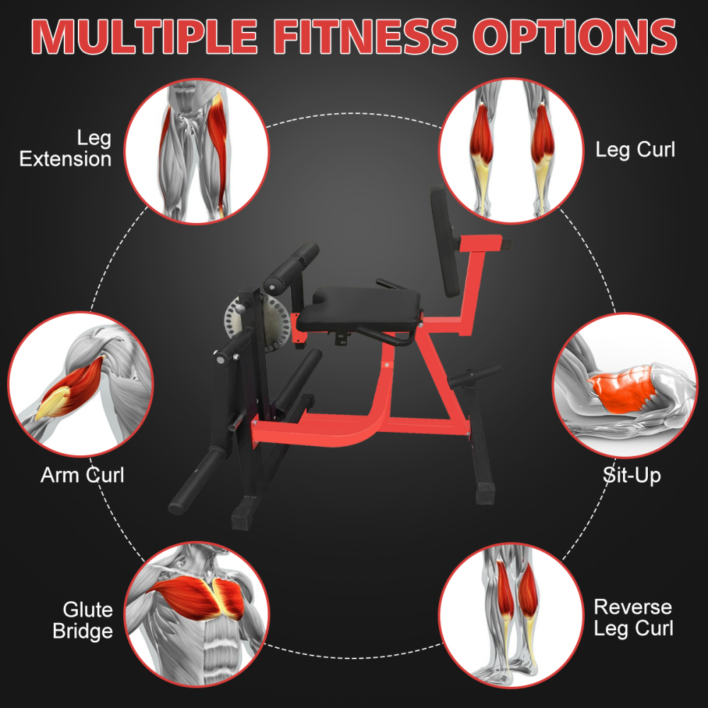 Máquina Ajustable para Extensi - Home Gym Leg Extension Machine reseña y precio