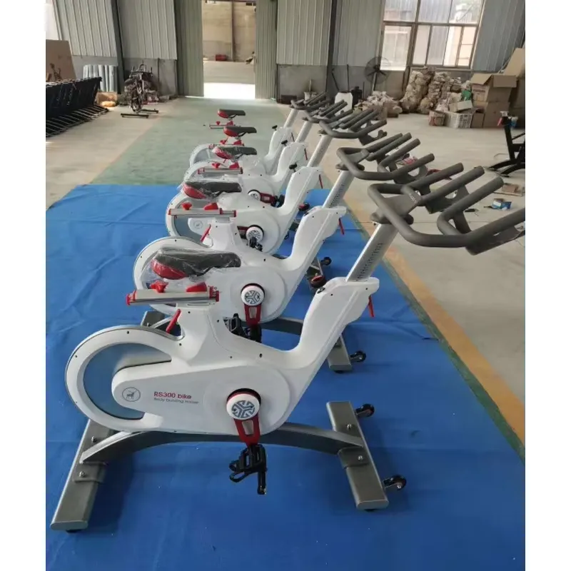 Bicicleta de Spinning Profesio - Home Gym Exercise reseña y precio
