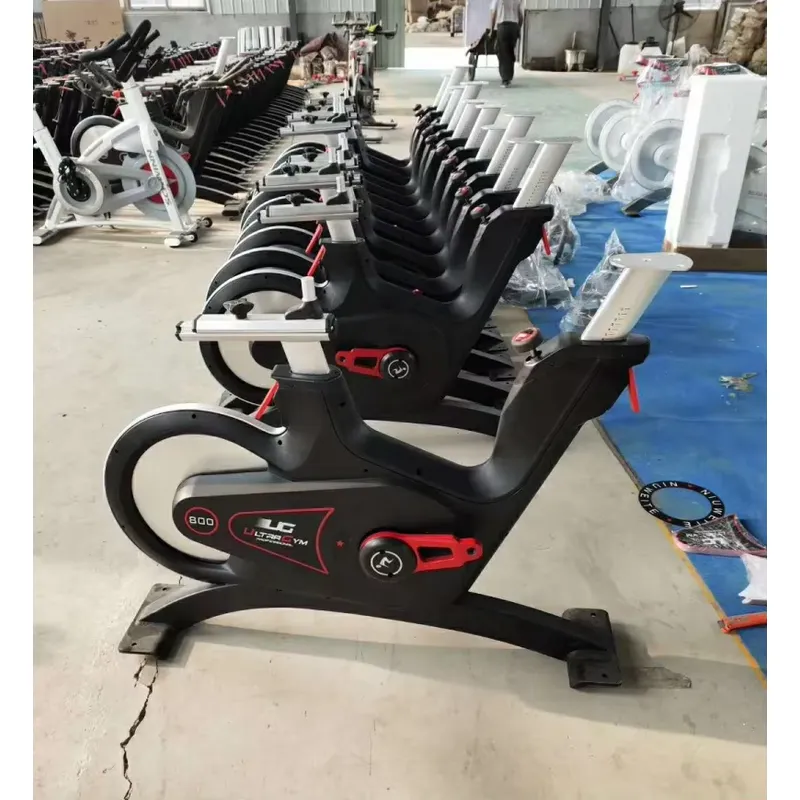 Bicicleta de Spinning Profesio - Home Gym Exercise reseña y precio