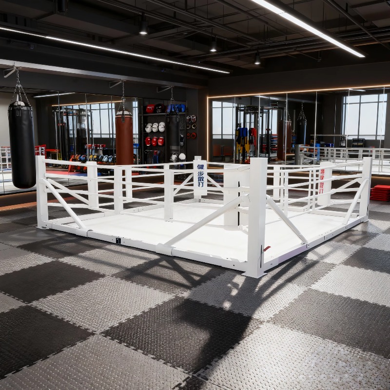 Set de Ring de Boxeo Plegable  - Home Gym Equipment Set reseña y precio