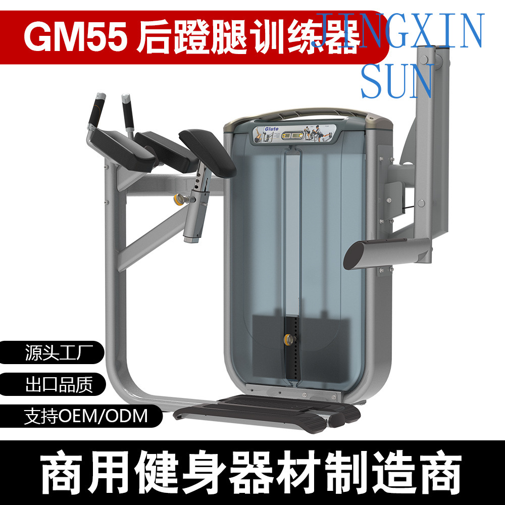 Máquina Comercial de Extensión - Home Gym Leg Extension Machine reseña y precio