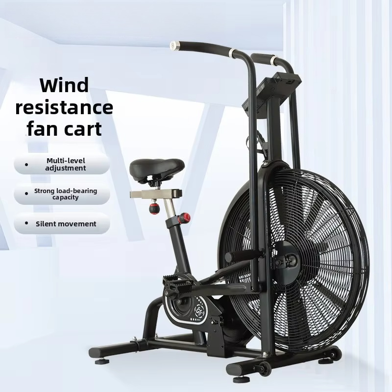 Bicicleta de Ejercicio Aeróbic - Home Gym Resistance reseña y precio