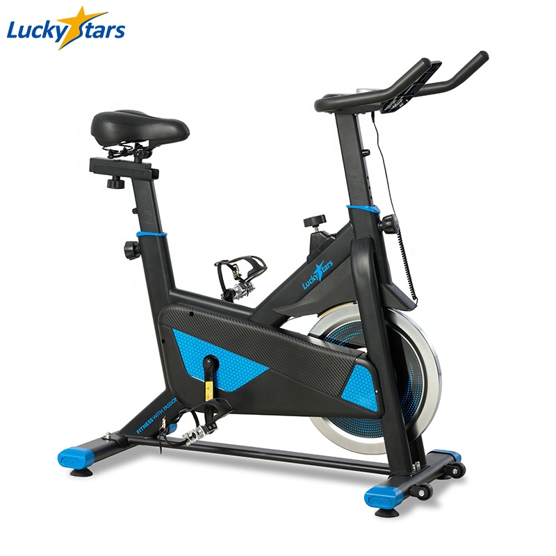 Bicicleta de Ejercicio al por  - Home Gym Exercise reseña y precio