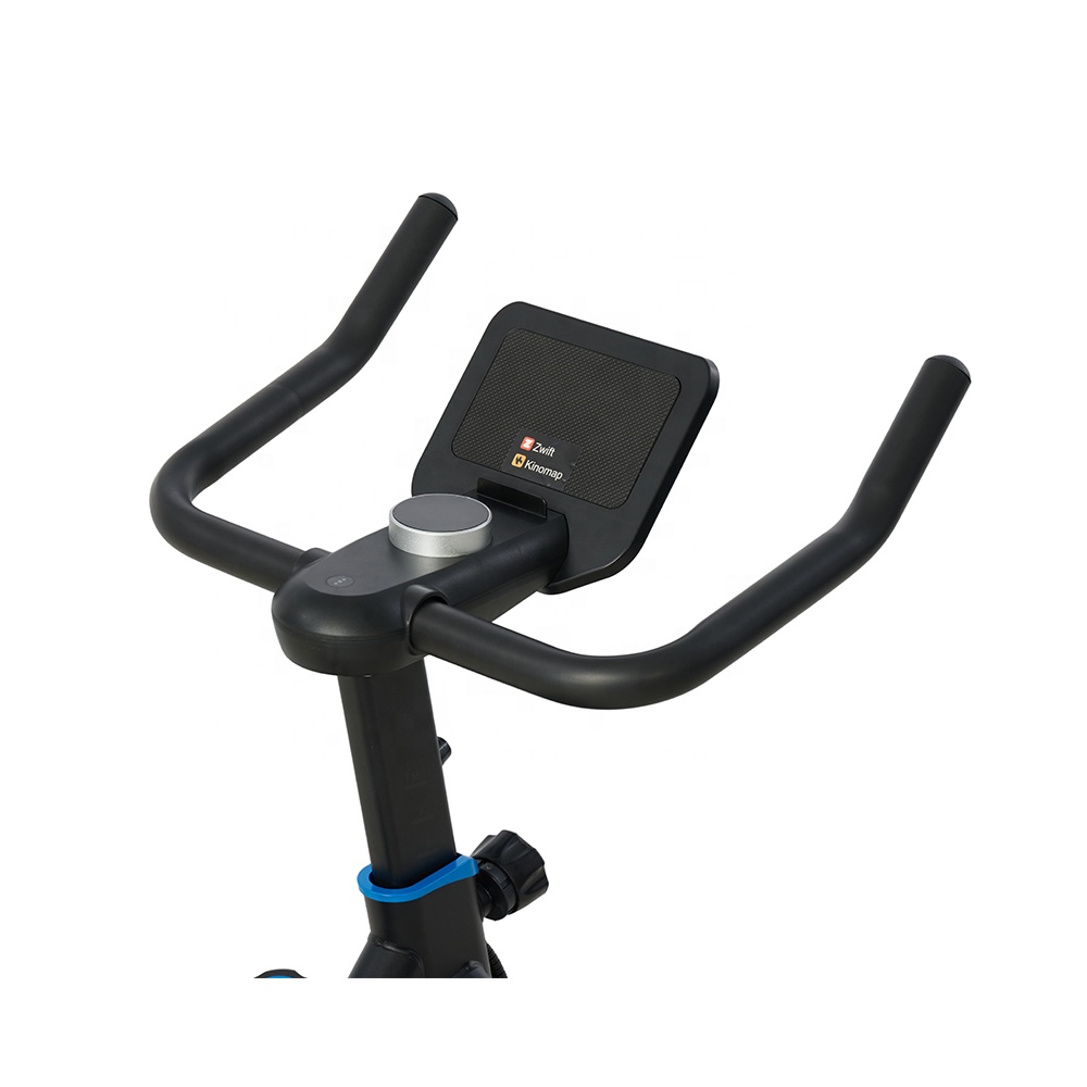 Bicicleta de Ejercicio al por  - Home Gym Exercise reseña y precio