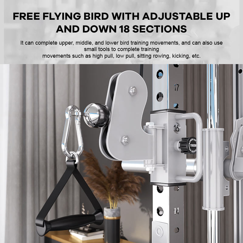 YTYIN Proveedor de Fábrica: Eq - Home Gym Smith reseña y precio